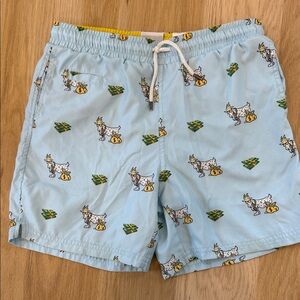 Kids Swim Trunks with Fun Print